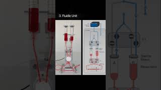 🥼 The ibidi Pump System 🔬 [upl. by Aneerol]