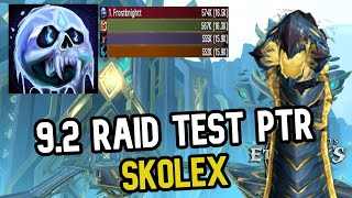 92 Raid Test Sepulcher of the first one  Skolex  Frost DK Pov  World of Warcraft [upl. by Ensoll]