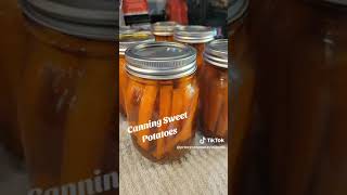 Canning Sweet Potatoes foryou foryourpage fyp canning food foodie [upl. by Fredric]