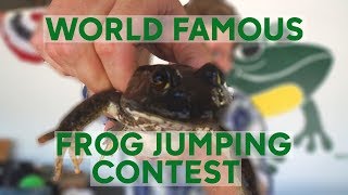 World Famous Frog Jumping Contest [upl. by Ronal46]