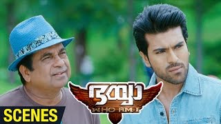 Bhaiyya My Brother Malayalam Movie Scenes  Brahmanandam to Direct Amy Jackson  Ram Charan  DSP [upl. by Natalee465]