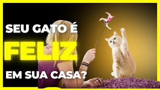 Como Manter seu Gato dentro de casa e Feliz [upl. by Idnarb]