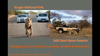 Kruger National Park vs Sabi Sands which one offers South Africas best safari experience [upl. by Torrence853]