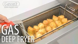 Nayati Deep Fat Fryer [upl. by Naret839]