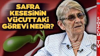 Safra Kesesi Ne İşe Yarar Canan Karataydan Kolesterol ve Safra Kesesi Açıklaması [upl. by Rovit539]