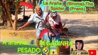 La Araña🕷️PART1Broma A aranha 🕷️ PEGADINHA PESADO 🤣😱The Spider🕷️Prank [upl. by Yahiya]