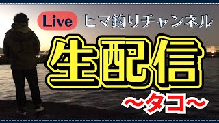 タコ釣りリベンジ！皆さん笑ったらダメですよ！ [upl. by Everett]