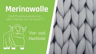 Merinowolle  warum so teuer  VorteileNachteile [upl. by Ailev651]