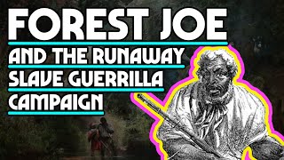 Forest Joe And The Runaway Slave Guerrilla Campaign [upl. by Eatnoed]