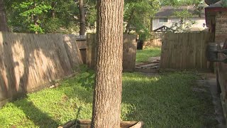 Texas flooding Conroe family returns home after evacuating due to rising flood waters [upl. by Herrick682]