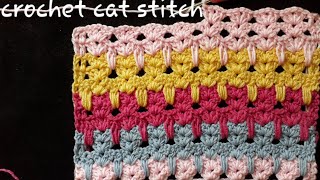 Crochet Cat Stitch Pattern for Baby Blanket  Step by Step Tutorial [upl. by Gratianna599]