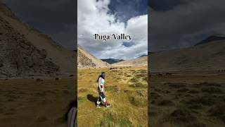 The land of geothermal energy and a beautiful landscape  Puga Valley ladakh travelingtrinetra [upl. by Aisatan]