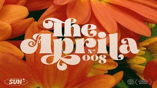 Aprila Font Family Font Free Download [upl. by Artemed220]