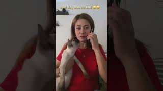 Taming this Siamese cat maybe this time yollyshah7 [upl. by Kwon]