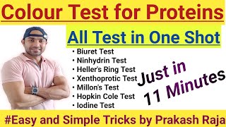 Colour Test for Proteins All Test in One Shot Biomolecules Proteins [upl. by Yenahpets]