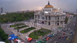 Bellas artes EN VIVO desde el Cafe de la Gran Ciudad [upl. by Kameko]