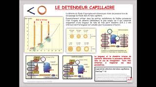 Leçon 48  Le détendeur capillaire [upl. by Niatsirk928]