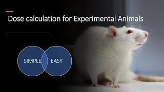 Animal dose calculation  human dose to animal dosevolume of administration EC pharmacology [upl. by Araldo527]