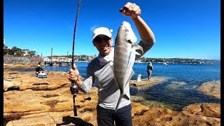 Crazy fishing day at Sydney Harbour [upl. by Haugen204]