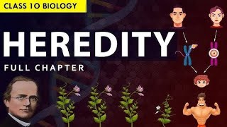 Chapter 8 Heredity Lec 2 Class 10 Science GSEB CBSE [upl. by Rutherford]