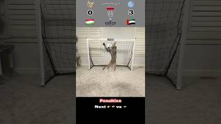 Cat Goalie  Tajikistan🇹🇯 Vs United Arab Emirates🇦🇪  AFC Asian Cup 2023 Round of 16 cat goal [upl. by Casar]