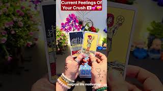 ❤️PARTNER KI CURRENT FEELINGS AAJ❤️HINDI TAROT CARD READING🧿tarotreading candlewaxshorts [upl. by Eima]