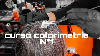 CURSO COLORIMETRIA N° 1 [upl. by Ilecara668]