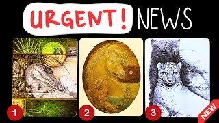 Some Urgent News From Your Spirit Guides✨🤩🃏🔑✨ pick a card reading 🃏 tarot card reading [upl. by Idaline971]