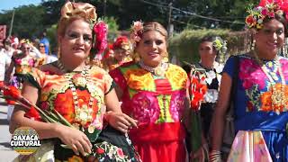 Festividad de las Intrépidas  Muxes de Juchitán de Zaragoza Oaxaca [upl. by Epstein]