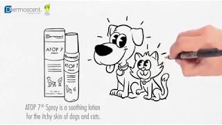 ATOP 7® Spray  antiitch spray dogs cats [upl. by Elcin485]