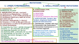 Classification of Mutation by JJS Sir for Class 12 NEET KVPY OLYMPIADS [upl. by Nnylrefinnej]