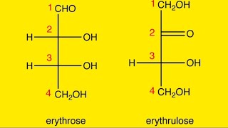 Tetrose  Erythrose  Erythrulose Monosaccharides [upl. by Leanora]