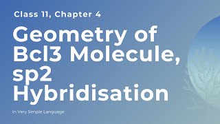 Geometry of Bcl3 Molecule sp2 Hybridisation Class 11 [upl. by Wagoner]