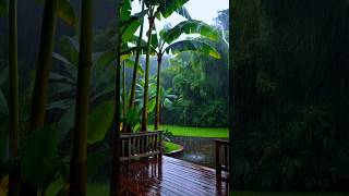 Soft Rain  Rain for Relaxation Therapy [upl. by Newel]