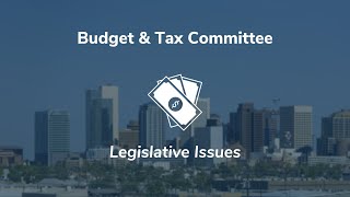 2024 Budget amp Tax Committee Legislative Issues [upl. by Ahsenhoj783]