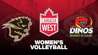 WVB Manitoba Bisons vs Calgary Dinos  Oct 18 2024 [upl. by Assyla]