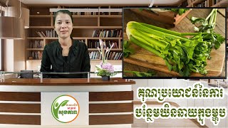 អត្ថប្រយោជន៍របស់ឃិនឆាយ  Benefits of Chervil  Khin Chhay [upl. by Frodi]