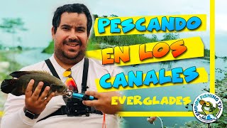 PESCANDO EN LOS CANALES Everglades [upl. by Laws]