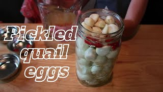 How To Make Pickled Quail Eggs  The Easiest Way To Pickled Quail Eggs Recipe [upl. by Padraic]