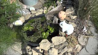 Mini Gartenteich mit Bachlauf [upl. by Also]