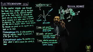 Electrocardiogram artificial pace maker and blue babies  11TH BIOLOGY  CHP 14  LECTURE 23 [upl. by Aihsas]