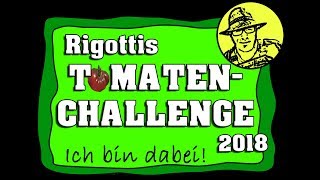 Rigotti´s Tomaten Challenge Update 1 [upl. by Caralie]