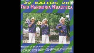 Trio Armonia Huasteca  20 Exitos Disco Completo [upl. by Tilagram]