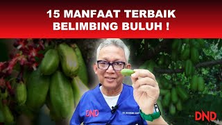 15 MANFAAT TERBAIK BELIMBING BULUH [upl. by Dory]