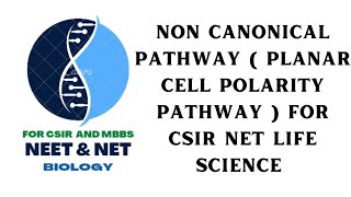 Non Canonical Pathway  Planar Cell Polarity Pathway  Wnt Siganl Transduction For NET Life Science [upl. by Diane-Marie]