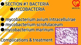 Mycobacterium avium scrofulaceum marinum  Mycobacteria  Microbiology [upl. by Etty214]