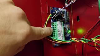 How To Install Honeywell 4232CBM and Internet Communications using one cat5 [upl. by Atat]