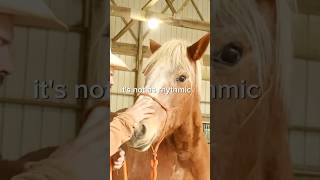 Be rhythmic not sporadic ahrenshorsemanship horse drafthorses [upl. by Fulbert]