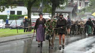 Viehscheid 2024 in Pfronten  Verregnet und klein aber fein  14092024  Kurzfilm [upl. by Ennaeel]