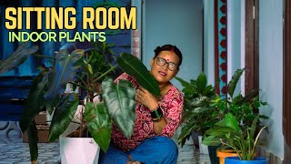 Indoor Plants Decoration Ideas in Living Room I Pabitra Garden [upl. by Atteroc]